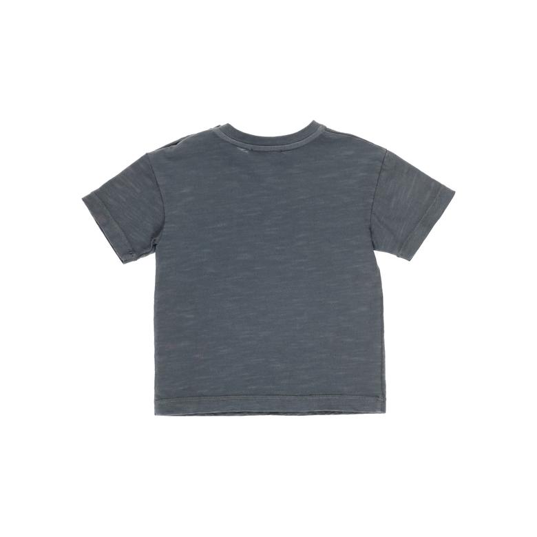 Erkek Bebek T-Shirt 2211BB05030
